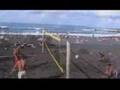club voleibol orotava los vigilantes de la playa