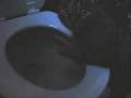 videos de Mandy Drink From The Toilet