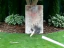 pinecone gun 3000 #2