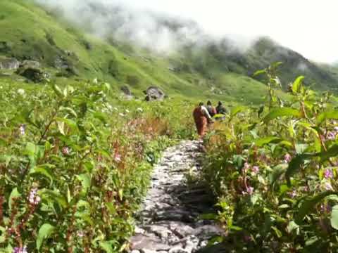 trekking video