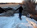 50-50 to nose press