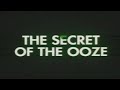 the turtles and the shredder battle once again, this time for the last cannister of the ooze that created the turtles, which shredder wants to create an army of new mutants. directed by: michael pressman. cast: mark caso, michelan sisti, leif tilden, kenn troum, paige turco, david warner, kevin clash, ernie reyes, jr. release date: march 22, 1991.