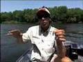 Insane Smallmouth Action