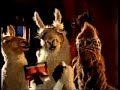 llama-que-llama-98-.html