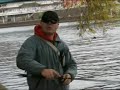 team94 - Bigbait-fishing-colonel gold  XXL 3D Brochet-balzer