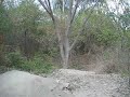 Canatara Bike Jumps Canatara Bike Jumps