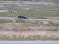 Lambo Vs NSX