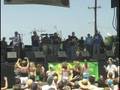 Swingin Medallions at Isle of Eight Flags Shrimp Festival