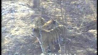 Moment tant attendue