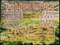 videos de Wisconsin Ginseng