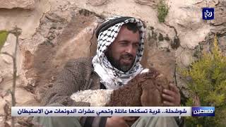 شوشحلة.. قرية تسكنها عائلة وتحمي عشرات الدونمات من الاستيطان