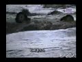 Men Swept Away by Flash Flood! Men Swept Away by Flash Flood!
