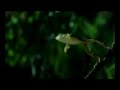 rolling-stones-new-guitar-gods.html