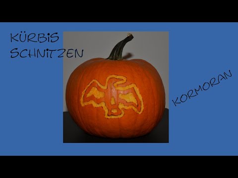 2017-08-30 Kürbis schnitzen - Kormoran