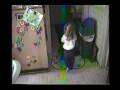 videos de Gators Under Her Bed
