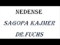 NEDENSE -- Sagopa Kajmer/Dr. Fuchs