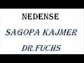 NEDENSE    Sagopa Kajmer Dr  Fuchs