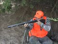 Public Lands Deer Hunt Public Lands Deer Hunt