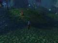 tweezer lvl 19 hunter pet pvp