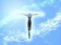angels of darkness - Dark and Krad angels of darkness - Dark and Krad