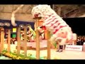Khuan Loke TeamB 12 Malaysia National Lion Dance Competition