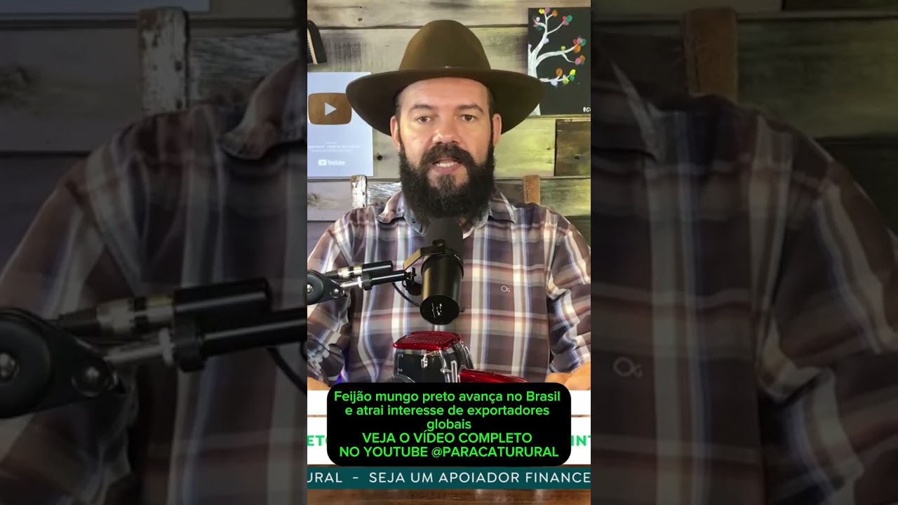 Feijão mungo preto avança no Brasil e atrai interesse de exportadores globais