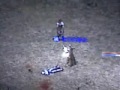 リネージュ動画