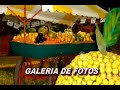 Feria de la Naranja