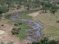 kenya-tanzanie