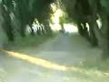 investigacion diske paranormal investigacion diske paranormal