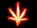 MARIHUANA MIX  -  DJ DOAS