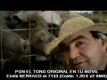 El Koala - Tengo Un Berraco