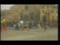 ANIMALI RARI - Già colpevoli