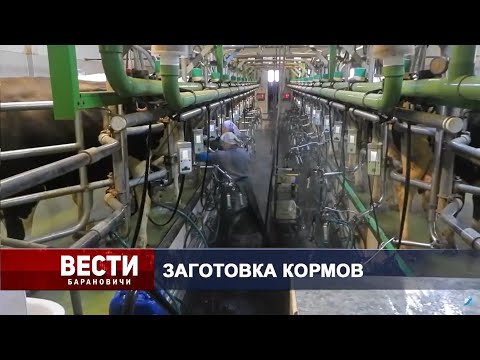 Вести Барановичи 10 сентября 2024.
