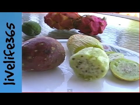 Why Eat Cactus Fruit (Prickly Pear)?