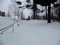 Sneg i sanki