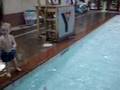 Wayney learns to jump into pool.