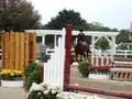 Perfecta Hunter & Jumper Show 8/23 - 8/24/08