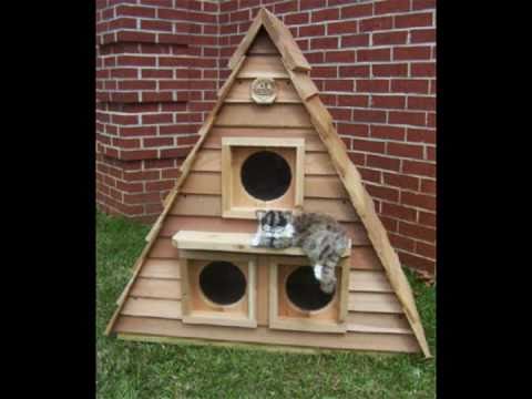 how to provide shelter for outdoor cats