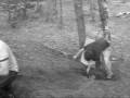 Maulden Dirt Jump Teaser Video