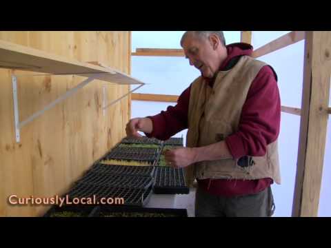 how to grow potatoes in nh