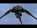 V�deo Half-Life 2: Episode Two GC 2006 Trailer