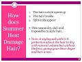 Eliminate the Summer Frizz Eliminate the Summer Frizz