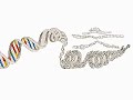 Chromosomes