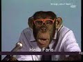 burning flags  subtitles and uncensored 