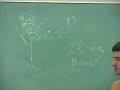 Newton\