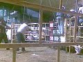 el Mistico de Rancho El Coralillo