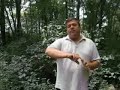Dog Tricks - Rollover Dog Tricks - Rollover