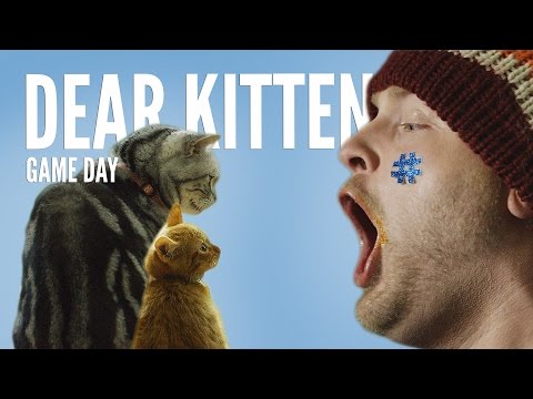 Dear Kitten: Regarding the Big Game (TEASER) – Purina® Friskies