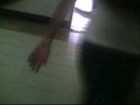 dancing queen - abba